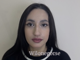 Wilonegorse