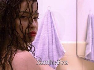 Xanthe_Fox