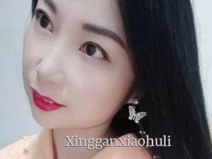 Xingganxiaohuli