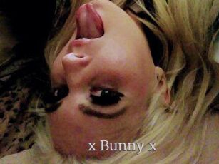 _x_Bunny_x_