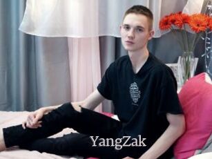 YangZak