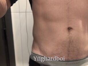Ynghardboi