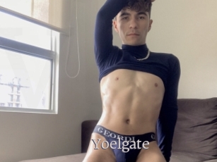 Yoelgate