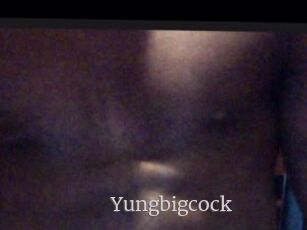 Yungbigcock
