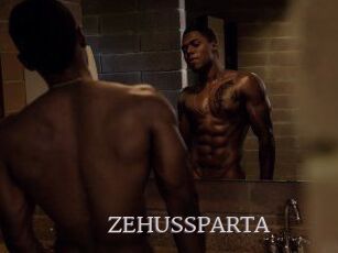 ZEHUS_SPARTA