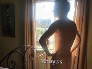 Zboy23