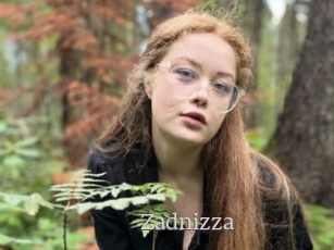 Zadnizza