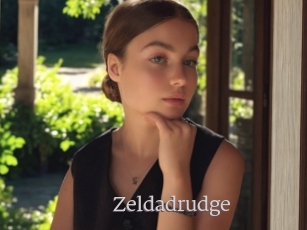 Zeldadrudge