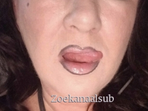 Zoekanaalsub